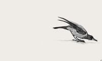 Bunte Krähe von Cato Duys Miniaturansicht