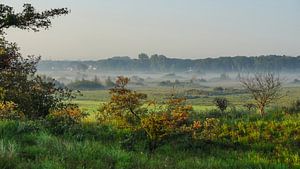 Natuurgebied Lentevreugd Wassenaar van Dirk van Egmond