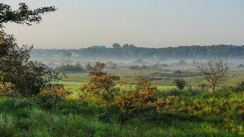 Natuurgebied Lentevreugd Wassenaar