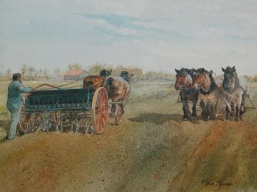 Fieldwork on Walcheren by Wim Romijn