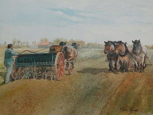 Veldwerkzaamheden op Walcheren