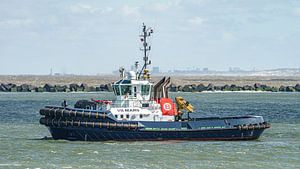 Schlepper VB Mars.