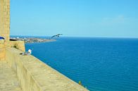 Blick vom Castillo de Santa Bárbara auf das Mittelmeer vor Alicante. Auf der Burgmauer sitzt eine Mö von LuCreator Miniaturansicht