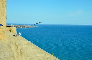 Uitzicht vanaf het Castillo de Santa Bárbara op de Middellandse Zee bij Alicante. van LuCreator