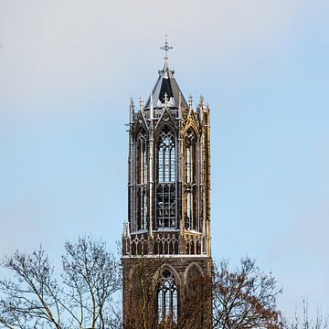 La tour Dom enneigée d'Utrecht depuis le parc Moreelse. (carré)