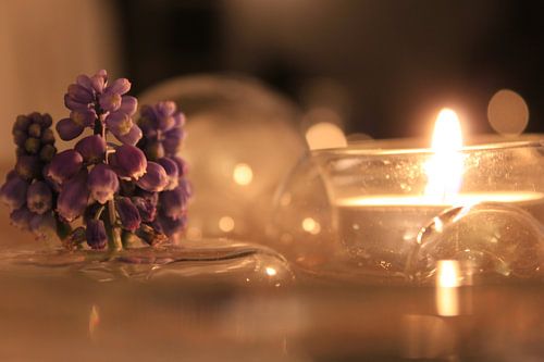 paarse bloemen in kaars licht van Sanne Willemsen