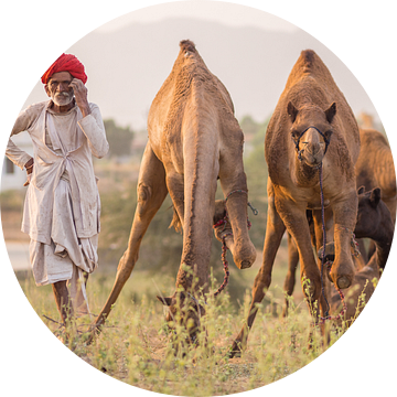 Kamelenhandelaar bij de Pushkar kamelenbeurs van Teun Janssen