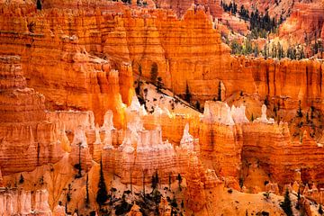 Landschap betoverende Hoodoos in Bryce Canyon National Park Utah USA van Dieter Walther