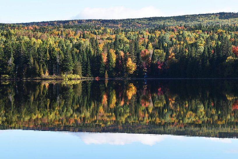 Autumn's reflection on the lake by Claude Laprise