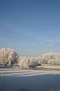 Winter by EnWout thumbnail