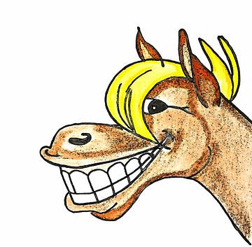 Vrolijk paardje ( tekening ) van Jose Lok