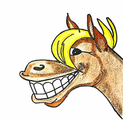 Cheerful horse ( drawing )