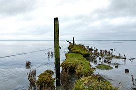 Mudflats at Zwarte Haan by Tsjalling Hospes
