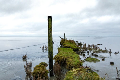 Wad bij Zwarte Haan