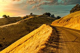 Road at sunset in hill range of mount Tamalpais California USA