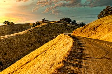 Strasse bei Sonnenuntergang in Hügelkette von mount Tamalpais Kalifornien USA von Dieter Walther
