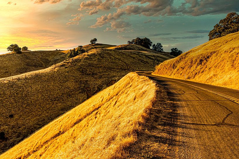 Road at sunset in hill range of mount Tamalpais California USA by Dieter Walther