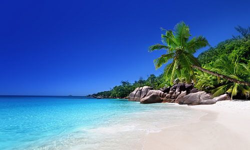 Strand van het eiland Praslin, Seychellen
