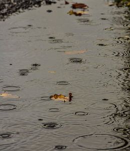Raindrops von Mascha Boot