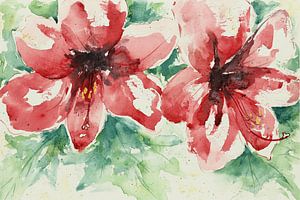 Rode amaryllis losjes geschilderd met waterverf (vrolijk zomers stoer vrouwelijk woonkamer modern)