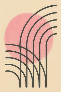 Cotton Pink Sun
