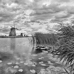 Nederlandse landschap met een kanaal en windmills_1 van Tony Vingerhoets