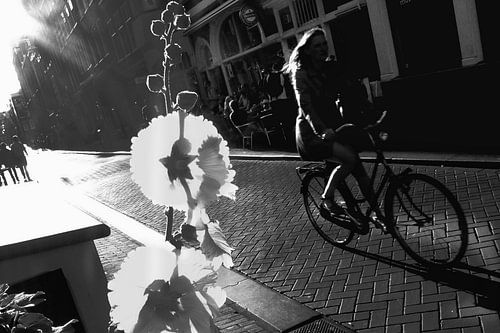 Amsterdam Malva en fiets