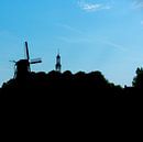 Silhouet van Spijk van Bo Scheeringa Photography thumbnail
