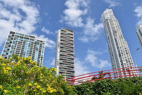 Uitzicht op de stad vanuit het park