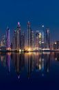 Dubai Marina van Michael van der Burg thumbnail