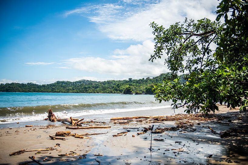 Verlassener Strand von Sander Verhoeven