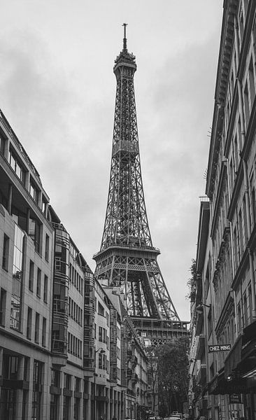 Eiffel Tower Paris by Freddie de Roeck