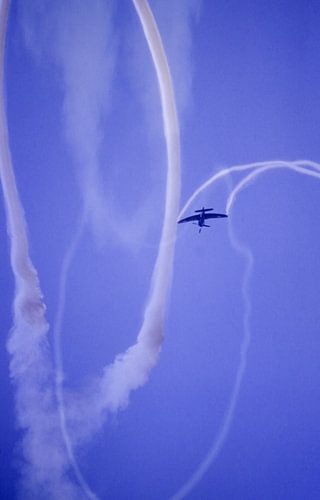 Hawker Sea Fury Motiv 2