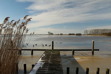 Uitzicht over het Sneekermeer van Pim van der Horst