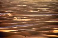 Wüste Sahara, Kamelkarawane und Kameltreiber mit Touristen von Frans Lemmens Miniaturansicht