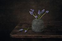 Modern still life with blue grapes
