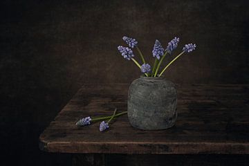 Modernes Stillleben mit blauen Weintrauben von Silvia Thiel