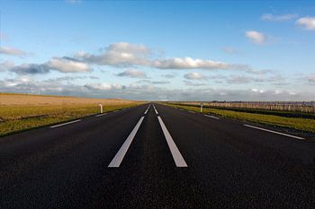 Weg naar het de horizon