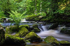 On the Eyach by Monika Scheurer