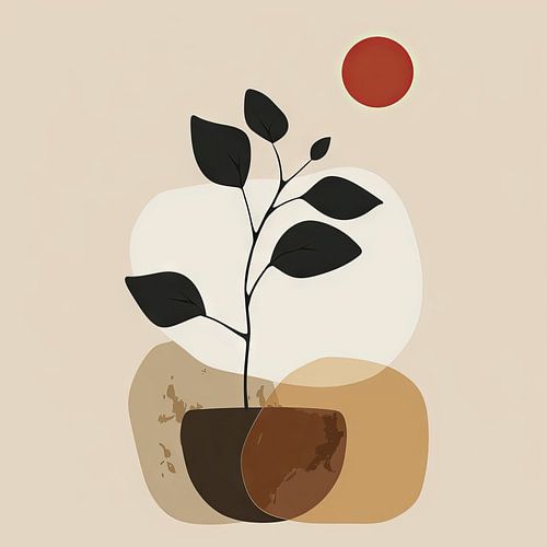 Plants