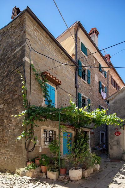 House with grape rack in Motovun, Croatia by Joost Adriaanse