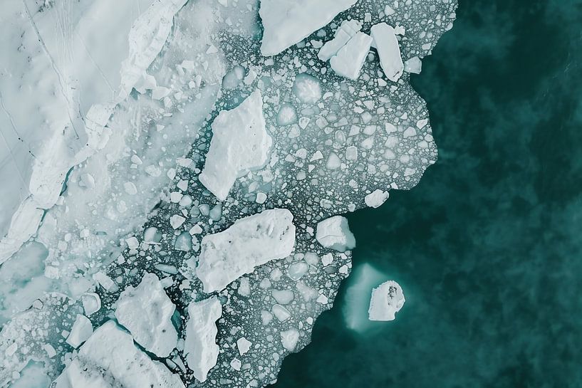 Pakijs in de felle zon van fernlichtsicht