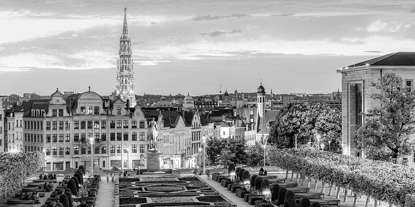 Mont des Arts à Bruxelles le soir - monochrome par Werner Dieterich