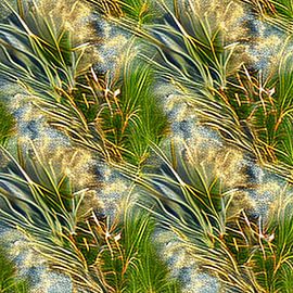 Verwarring door zonlicht