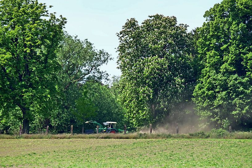 Boer 2 van Edgar Schermaul