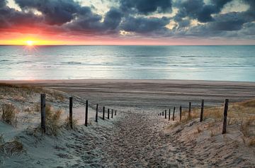 sand path to North sea beach at sunset van Olha Rohulya