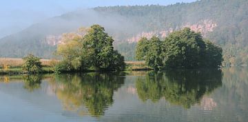 Een herfstochtend op de Main rivier van Gisela Scheffbuch