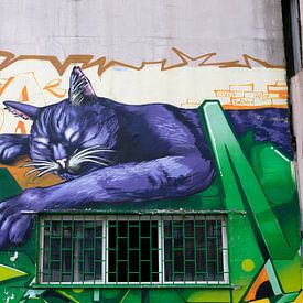Bulgaria - Sofia - graffiti 4 by Ronald Harmsen