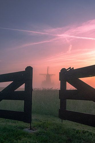 Mill the Butterfly just before sunrise