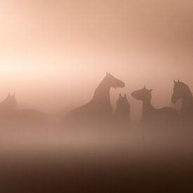 Paarden in de mist van Berny Schop